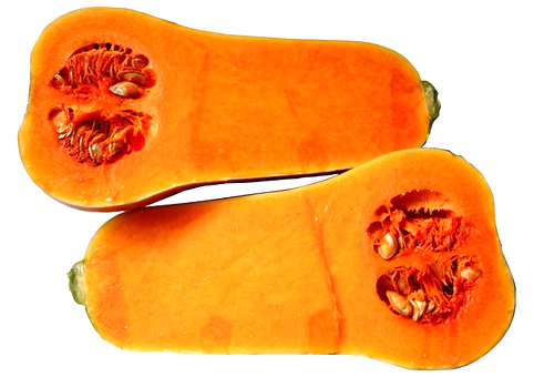 Butternut squash[CC0 1.0]