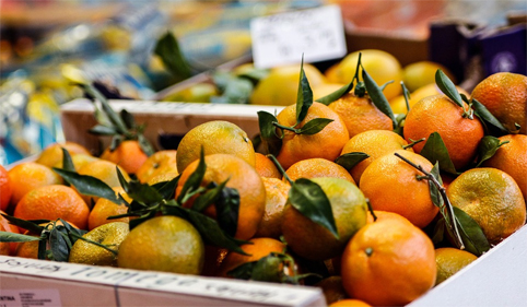 Citrusfrukter (CC0)