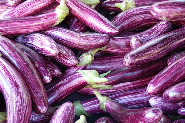 Aubergine [CC0]