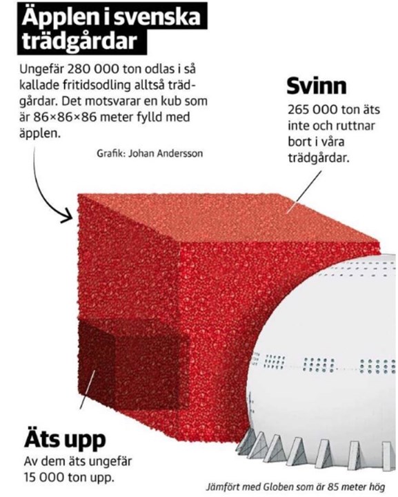 Dagens Nyheter 2016-09-25 Äppelsvinnet Dagens Nyheter 2016-09-25 Äppelsvinnet