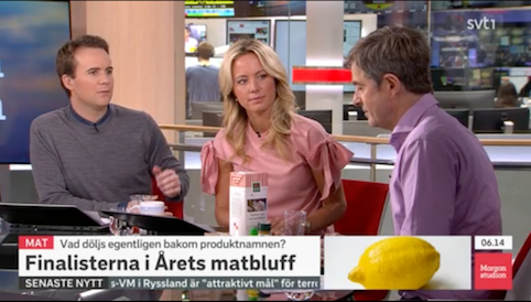 SVT Morgonstudion SVT Morgonstudion