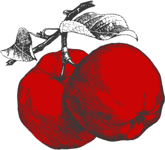 Äpplen frilagda m färg 2